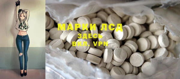 spice Алзамай