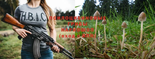 героин Алексин