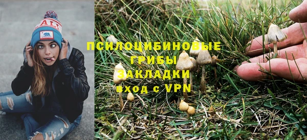 героин Алексин
