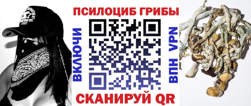 Галлюциногенные грибы Psilocybine cubensis  Белореченск 